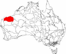 Pilbara Craton