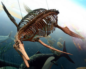 Plesiosaur